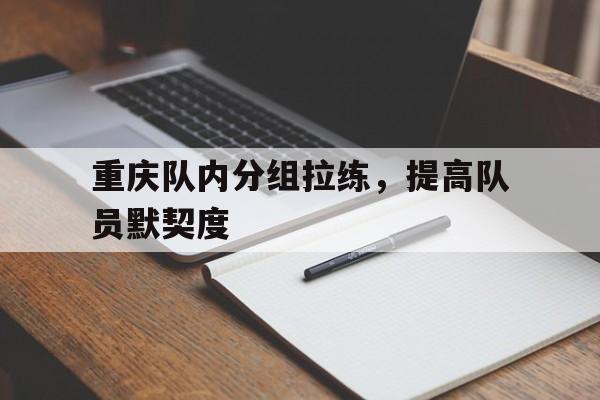 包含重庆队内分组拉练，提高队员默契度的词条
